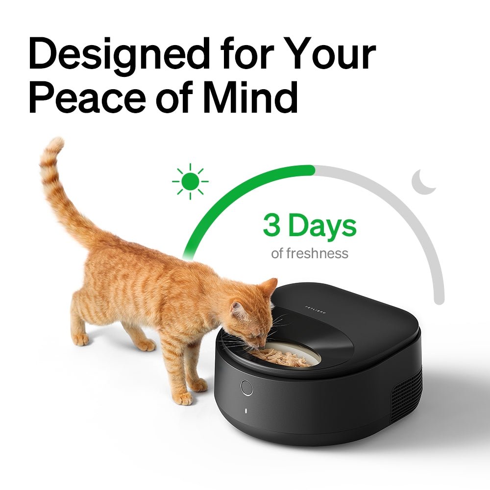 Polar Smart Wet Food Feeder